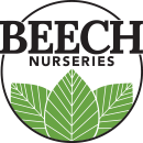 Beech Nurseries Logo