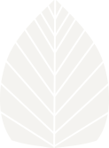 Leaf Illustration