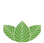 Beech Nurseries Logo