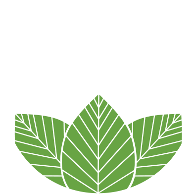 Beech Nurseries Logo Large